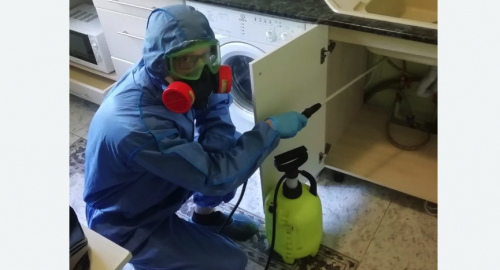 Уничтожение муравьев в квартире. Крымск