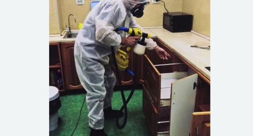Уничтожение насекомых в квартире. Крымск