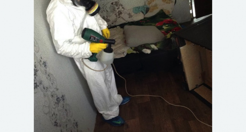 Обработка квартир от насекомых в Крымске