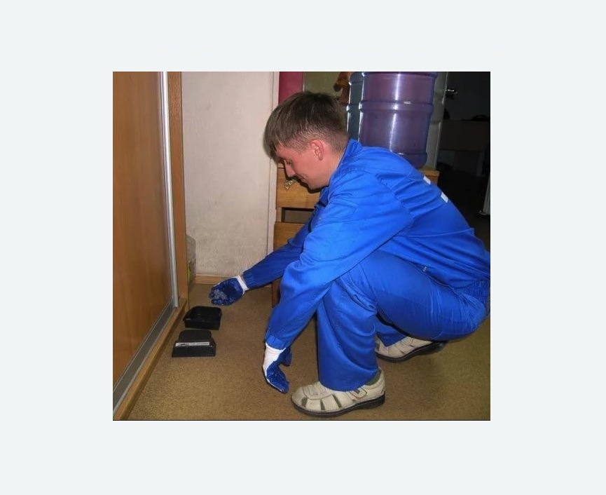 Дератизация крыс в Крымске