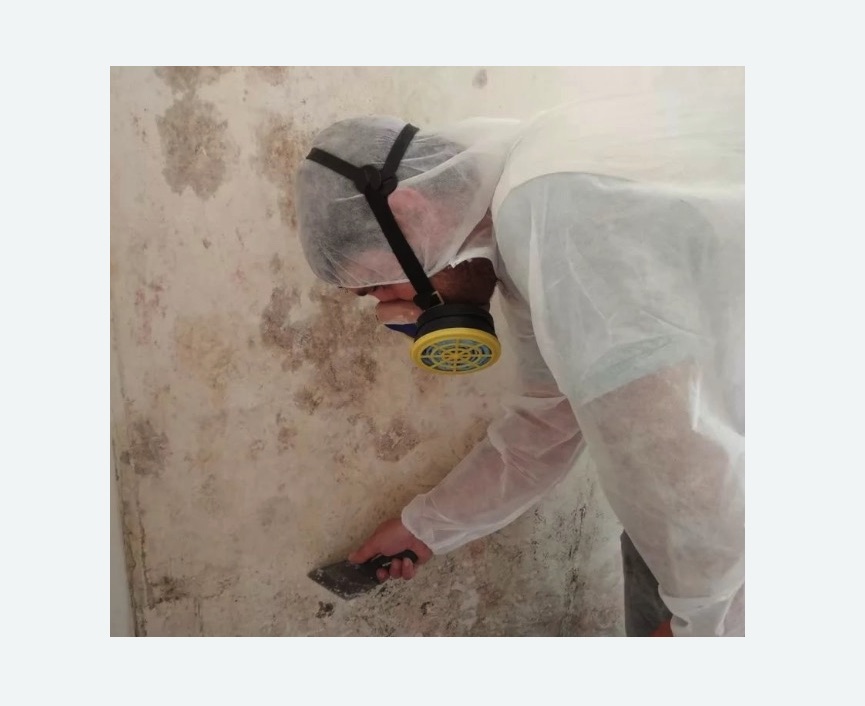 Обработка стен от плесени в Крымске