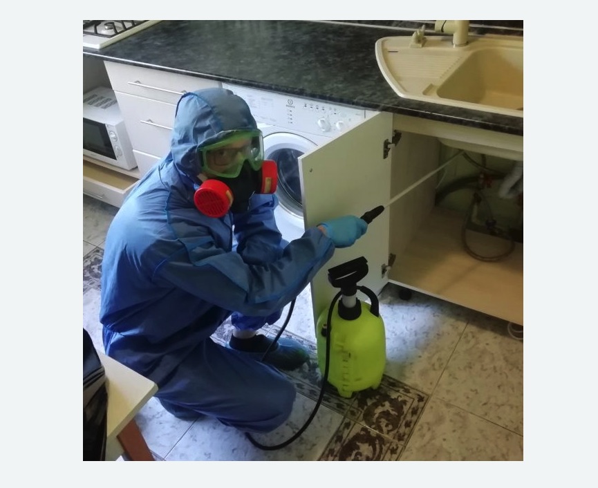 обработка от муравьев в квартире в Крымске