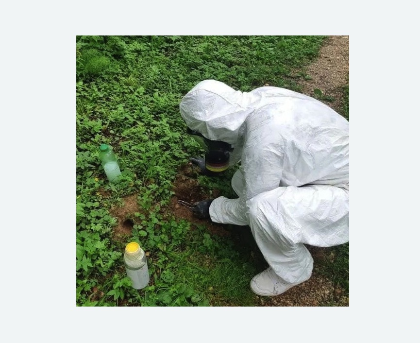 уничтожение кротов на участке в Крымске