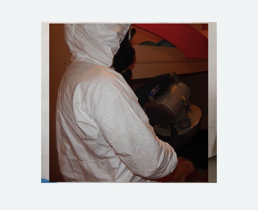 Дезинфекция от муравьев в Крымске