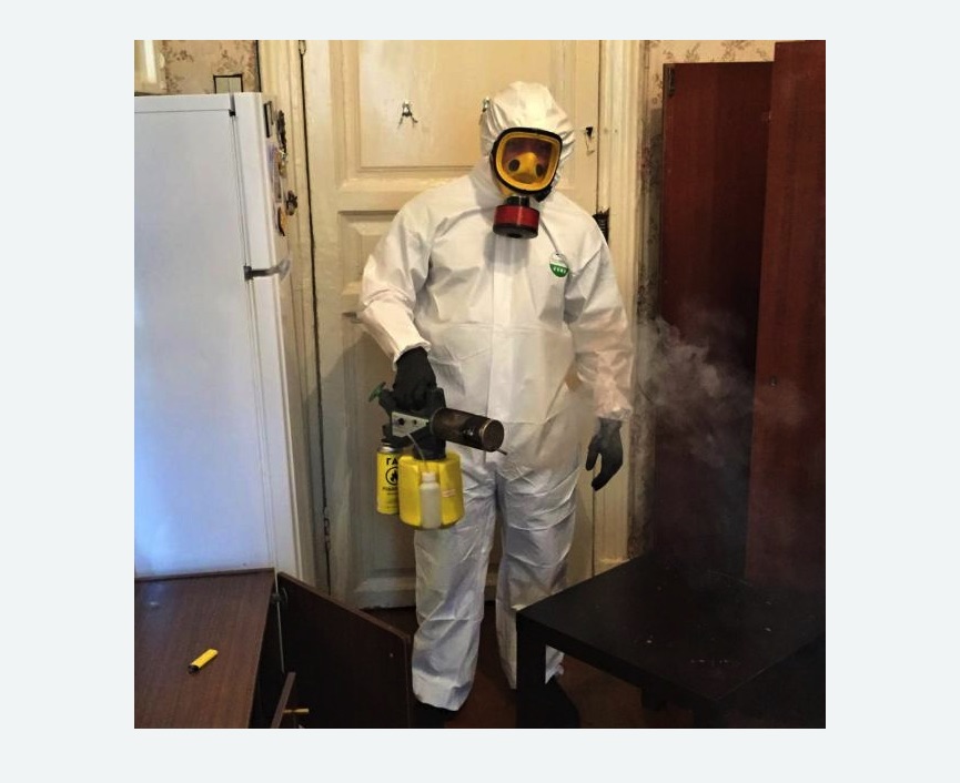 уничтожение муравьев в квартире в Крымске